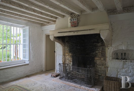 A chateau affiliated with Burgundy's greatest vineyards and permaculture to the south of Beaune - photo  n°10